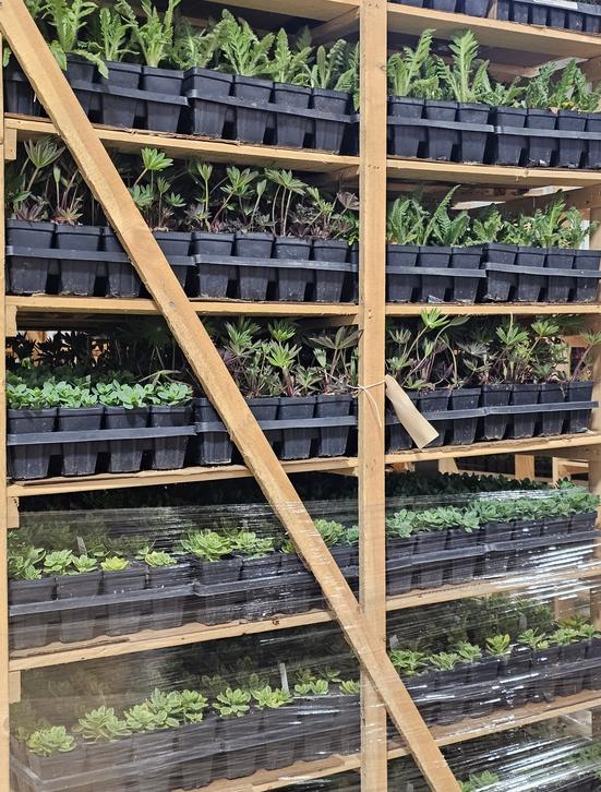 Shipping Information