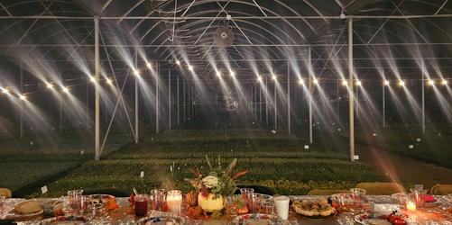 Thanksgiving (Office Closed)