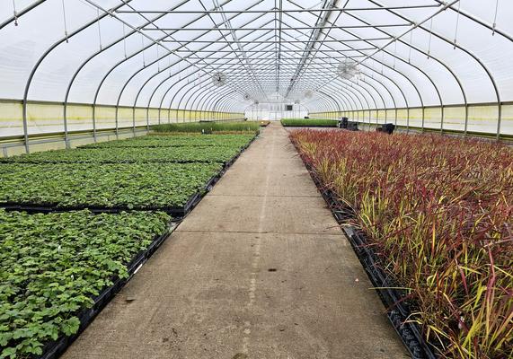Cold Frame House