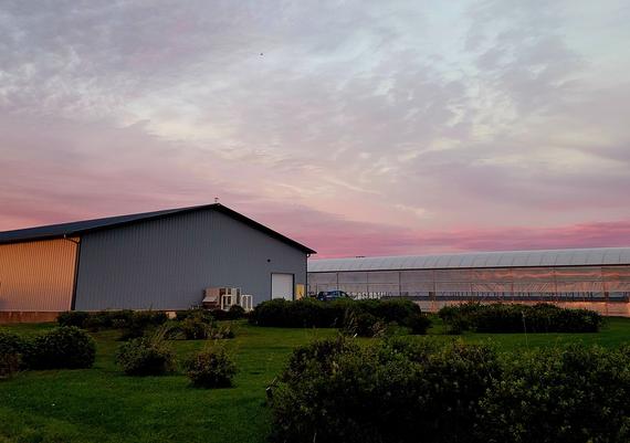 Woodstock Facility