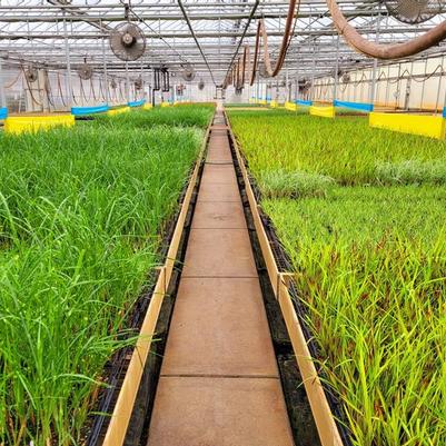 GET Group Inc. Shipping and Growing Facility