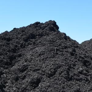 Black Dyed Mulch